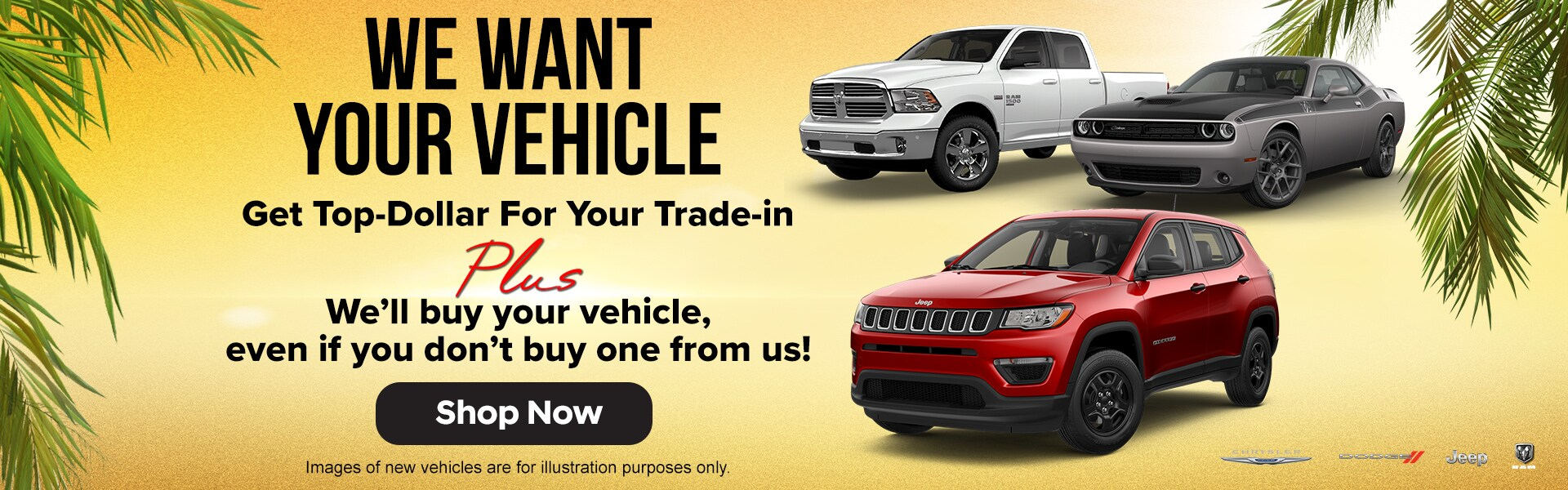  We Want Your Vehicle 